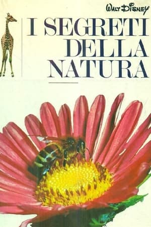 Image I segreti della natura