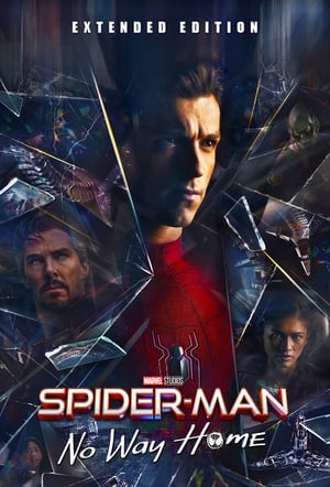 Homem-Aranha: Sem Volta Para Casa (VERSÃO ESTENDIDA) Torrent (2021) BluRay 1080p | 4K Dual Áudio – Download