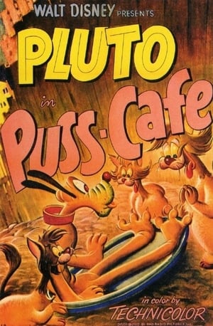 Poster Pluto y los gatos 1950