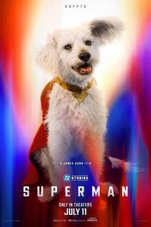 poster Superman