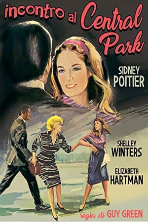 Incontro al Central Park (1965)