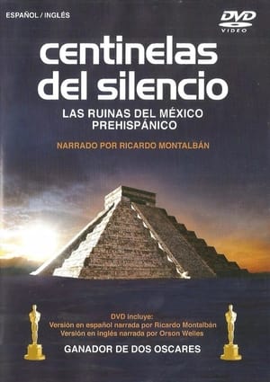 Poster Centinelas del Silencio 1971