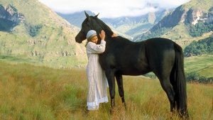 Καλπάζοντας Σαν Τον Άνεμο – Young Black Stallion (2003)