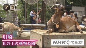 Épisode 21