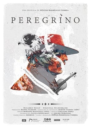 Poster Peregrino (2020)