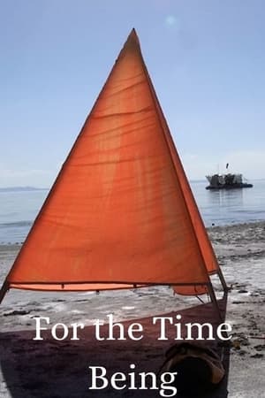 Poster Deborah Stratman to Nancy Holt: For the Time Being (2021)