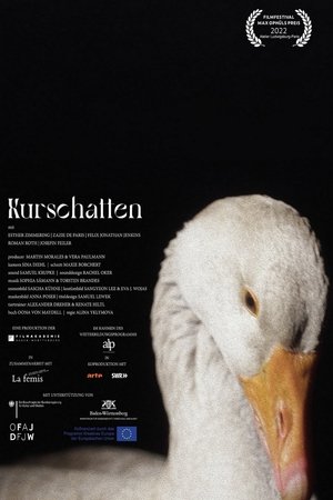Poster Kurschatten 2021