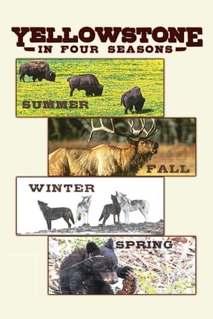 Image Yellowstone in Four Seasons