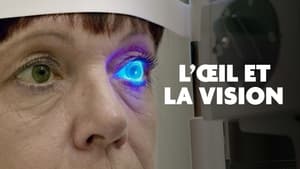 L’œil et la vision - Focus sur les avancées scientifiques film complet