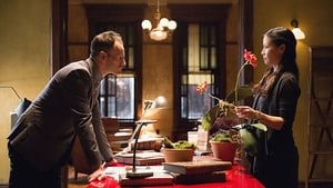 Elementary 3×10