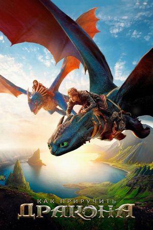 poster How to Train Your Dragon