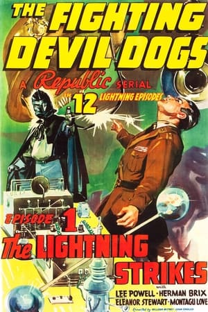 The Fighting Devil Dogs