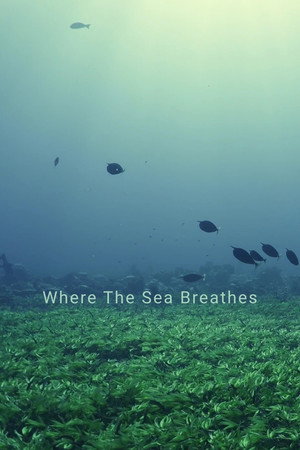 Where The Sea Breathes poster