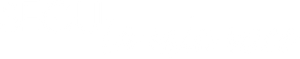Segui la mia voce (2025) Streaming official logo