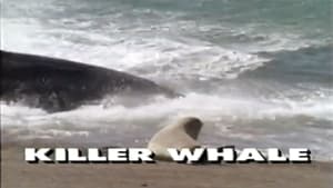 Predators of the Wild: Killer Whale film complet