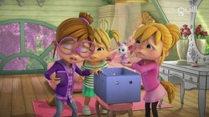 Of Mice and Munks