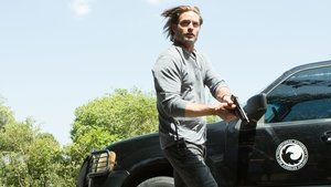 Colony: 1×7