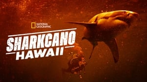 Sharkcano: Hawaii