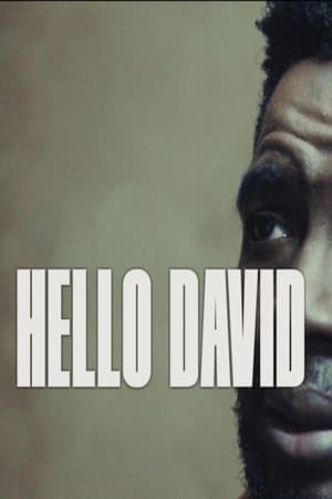 Poster Hello David (2023)