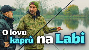 Episode 33 | StreamHub