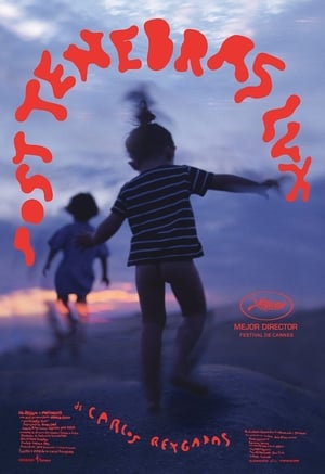Poster 柳暗花明 2012
