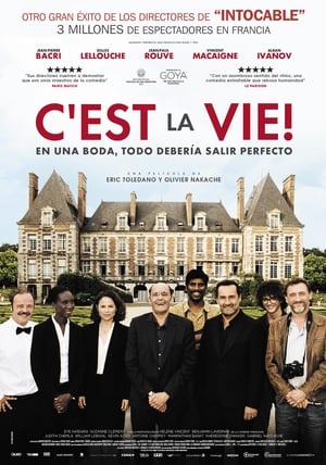Poster C'est la vie 2017