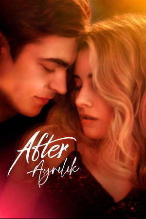 poster After We Fell