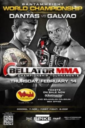 Poster Bellator 89 2013