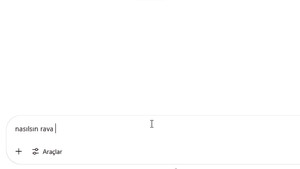 RAVA: An Artificial Friendship