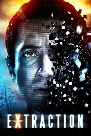 Image Extracted