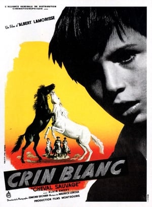 Poster Белая грива: Дикая лошадь 1953