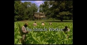 The Miracle Worker