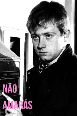 Não Amarás