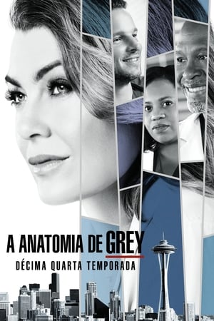 Anatomia de Grey: Temporada 14