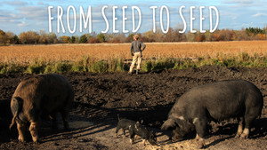 From Seed to Seed (2018)