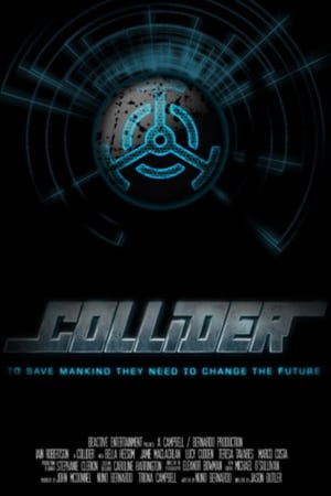 Poster Collider 2013