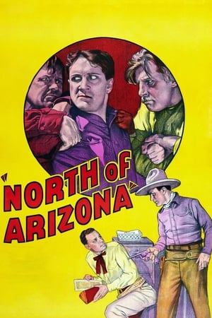 North of Arizona poster