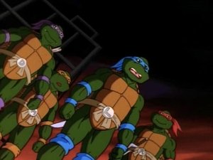 Teenage Mutant Ninja Turtles State of Shock