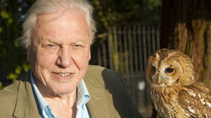 David Attenborough’s Natural Curiosities: 2×3
