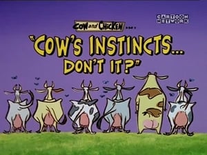 Cow and Chicken Cow's Instincts... Don't It?