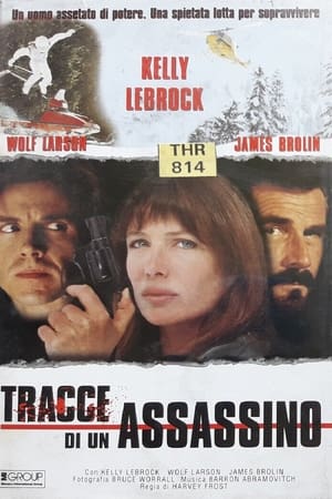 Poster Tracce di un assassino 1996