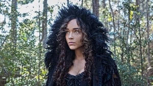 Salem: 3×4