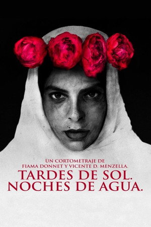Tardes de sol. Noches de agua. 3