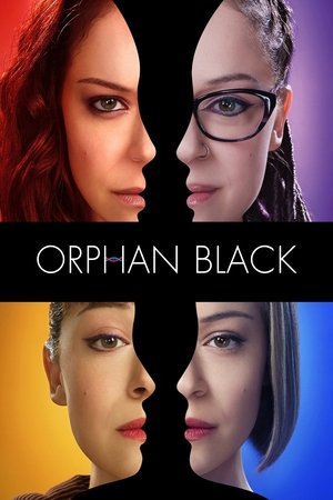 Orphan Black - Season 1