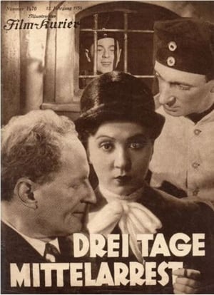 Drei Tage Mittelarrest poster