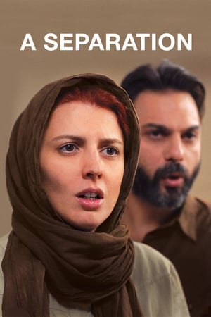 Poster A Separation 2011