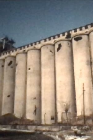 Silo Danube, Vukovar