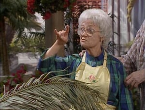 Golden Girls: 1×24