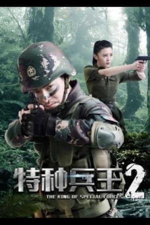 Poster Special Forces King 2: Mission Choice 2017