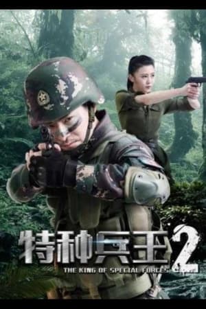 Image 特种兵王2使命抉择